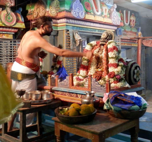 Sri Srinivasa Perumal Kalyanostavam Sriperumbudur (15)