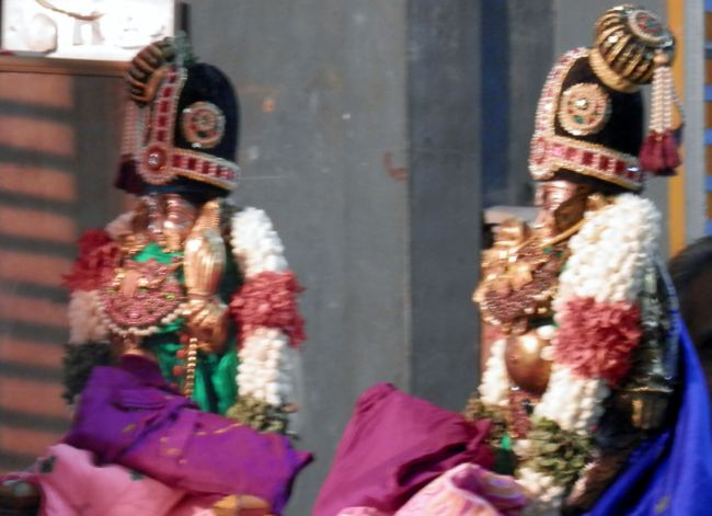 Sri Srinivasa Perumal Kalyanostavam Sriperumbudur (24)