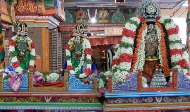 Sri Srinivasa Perumal Kalyanostavam Sriperumbudur (3)