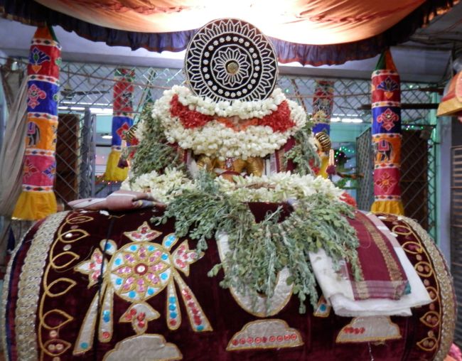 Sri Srinivasa Perumal Kalyanostavam Sriperumbudur (40)
