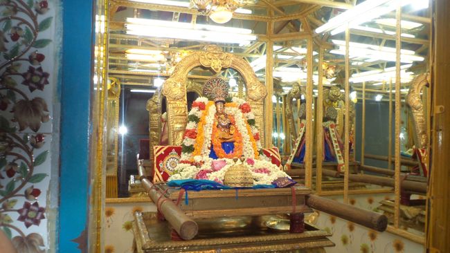 Sri amruthavalli Thayar Kadai velli Purrapadu Thiruvelukkai (16)