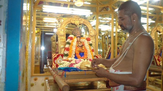 Sri amruthavalli Thayar Kadai velli Purrapadu Thiruvelukkai (17)