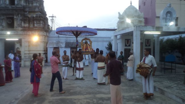 Sri amruthavalli Thayar Kadai velli Purrapadu Thiruvelukkai (4)