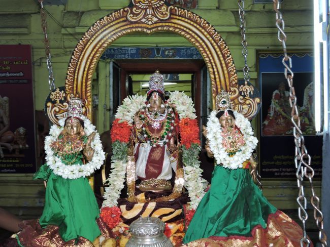 Thirukurallappan sannathi thirvonam (25)