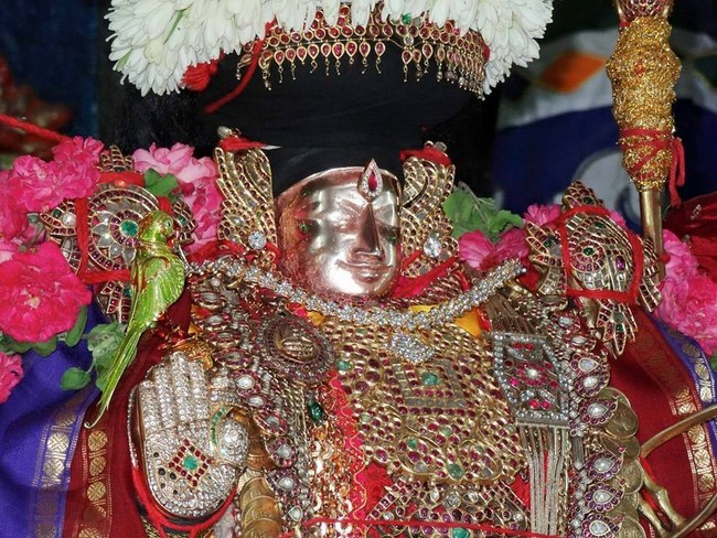 Thiruvahindrapuram Sri Devanathan Perumal Temple Sri Nammazhwar Thirunakshatra Utsavam1