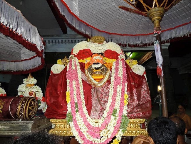 Thiruvahindrapuram Sri Devanathan Perumal Temple Sri Nammazhwar Thirunakshatra Utsavam11