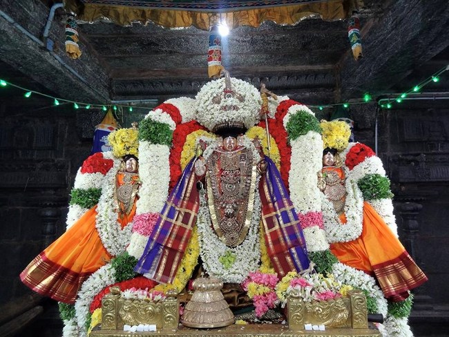 Thiruvahindrapuram Sri Devanathan Perumal Temple Sri Nammazhwar Thirunakshatra Utsavam12