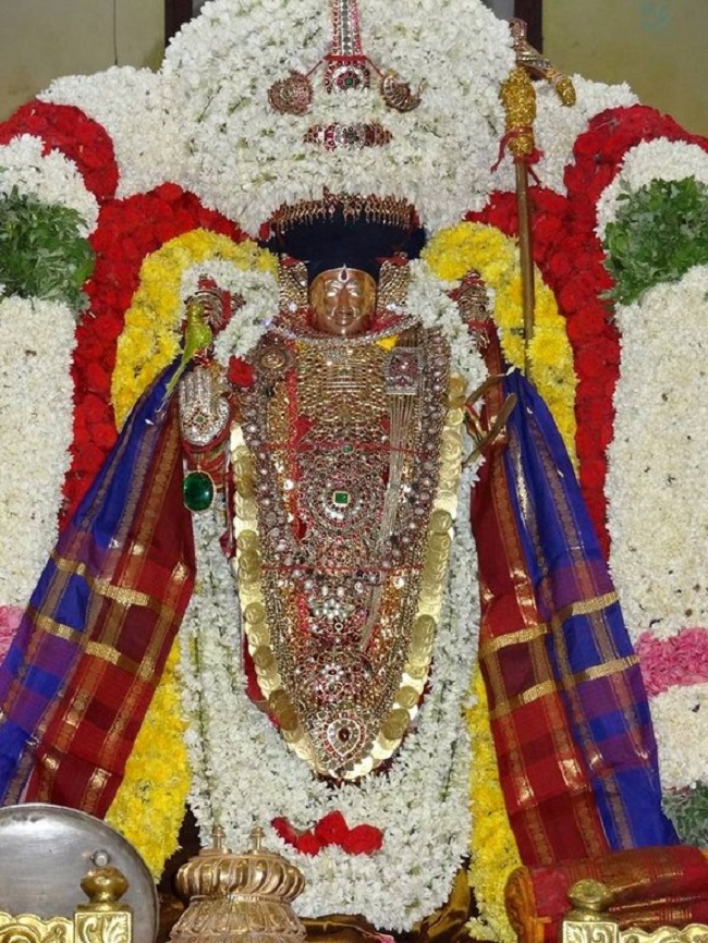 Thiruvahindrapuram Sri Devanathan Perumal Temple Sri Nammazhwar Thirunakshatra Utsavam16