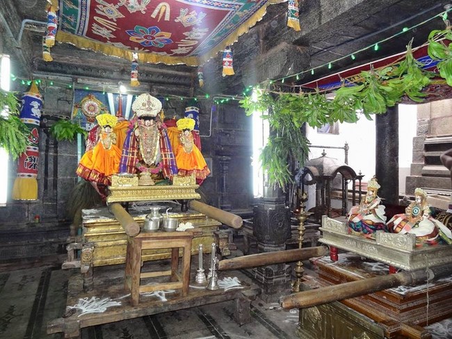 Thiruvahindrapuram Sri Devanathan Perumal Temple Sri Nammazhwar Thirunakshatra Utsavam17