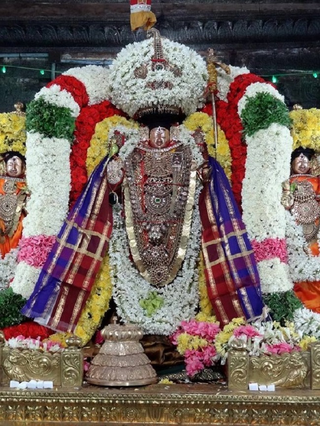 Thiruvahindrapuram Sri Devanathan Perumal Temple Sri Nammazhwar Thirunakshatra Utsavam19