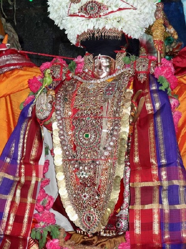 Thiruvahindrapuram Sri Devanathan Perumal Temple Sri Nammazhwar Thirunakshatra Utsavam20