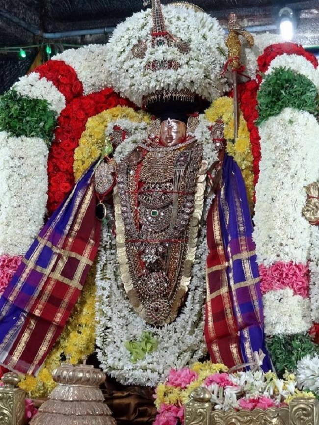 Thiruvahindrapuram Sri Devanathan Perumal Temple Sri Nammazhwar Thirunakshatra Utsavam3