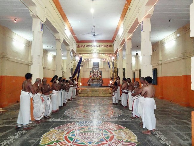 Thiruvahindrapuram Sri Devanathan Perumal Temple Sri Nammazhwar Thirunakshatra Utsavam7