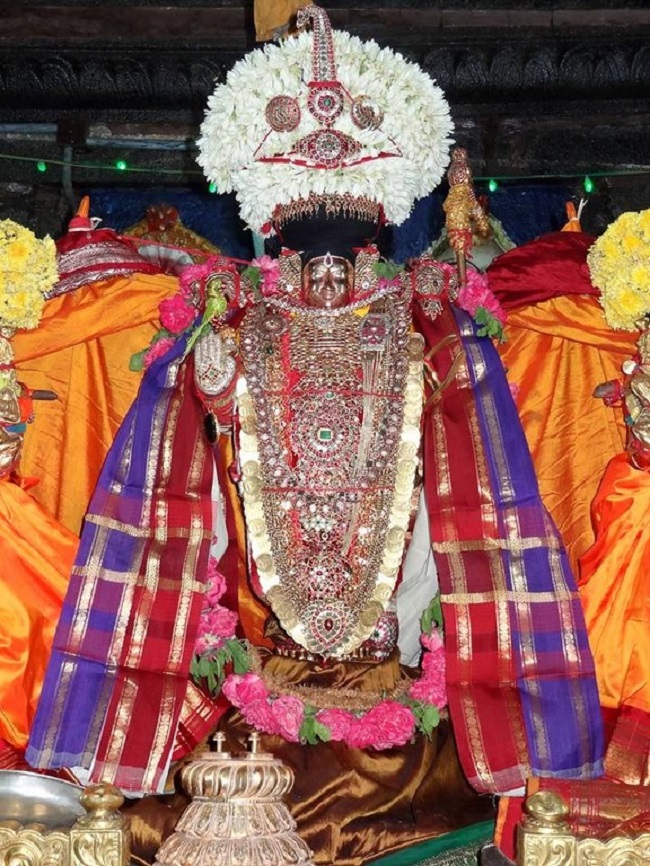 Thiruvahindrapuram Sri Devanathan Perumal Temple Sri Nammazhwar Thirunakshatra Utsavam8