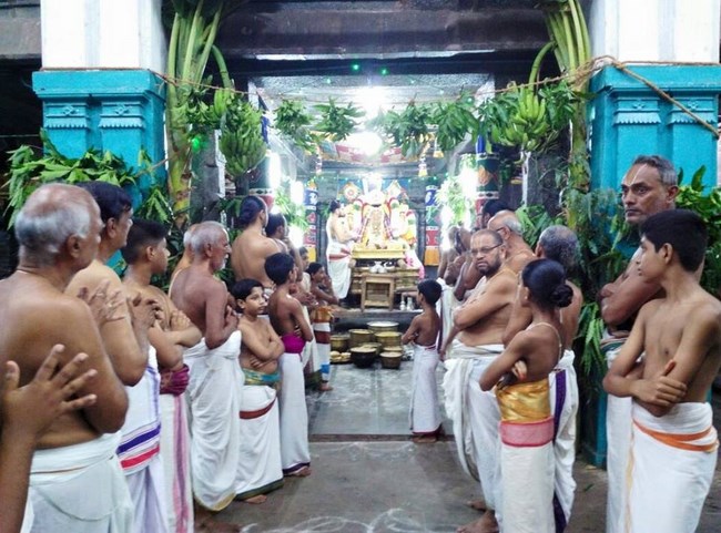 Thiruvahindrapuram Sri Devanathan Perumal Temple Sri Nammazhwar Thirunakshatra Utsavam9