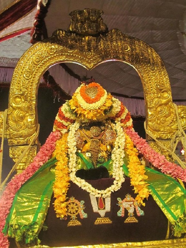 Thiruvallikeni Sri Parthasarathy Perumal Temple Maha Samprokshanam5