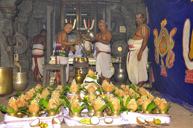 Thiruvallur Sri Veeraraghava Perumal Temple Maha Samprokshanam15