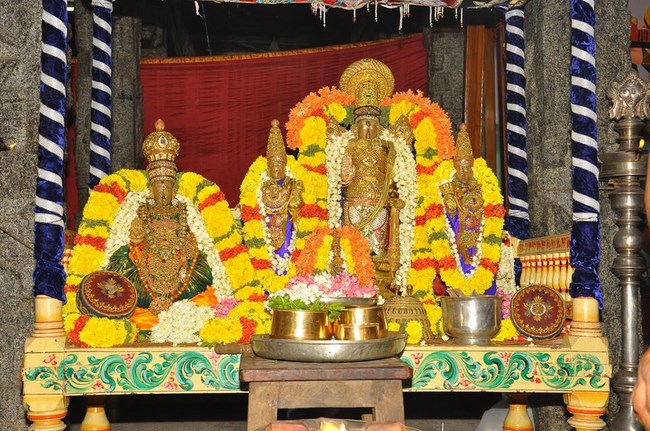 Thiruvallur Sri Veeraraghava Perumal Temple Maha Samprokshanam19
