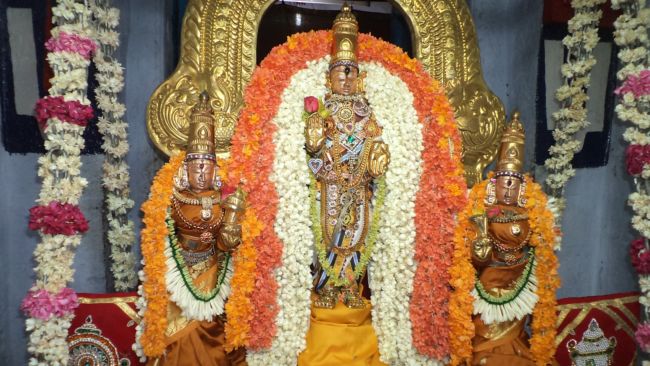 Thiruvellukai Sri Yoga Narasimar Thirumanjanam (19)