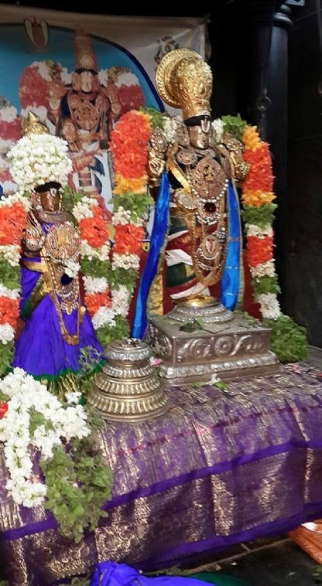 Thiruvinnagar Sri Oppilliappan Venkatachalapathi Temple Sri Nammazhwar Thirunakshatra Utsavam4