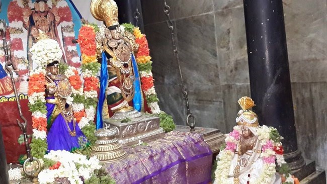 Thiruvinnagar Sri Oppilliappan Venkatachalapathi Temple Sri Nammazhwar Thirunakshatra Utsavam5