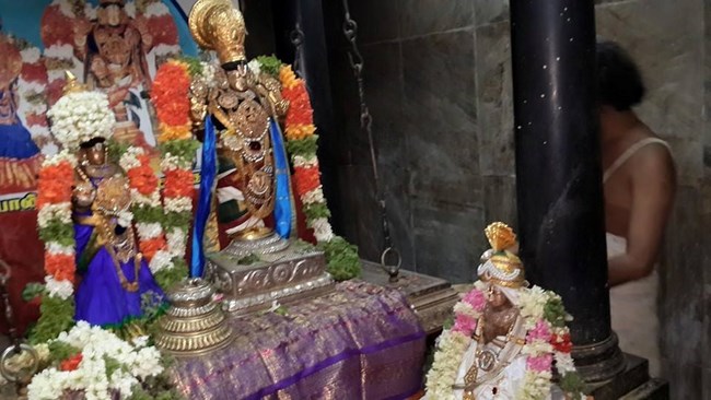 Thiruvinnagar Sri Oppilliappan Venkatachalapathi Temple Sri Nammazhwar Thirunakshatra Utsavam7