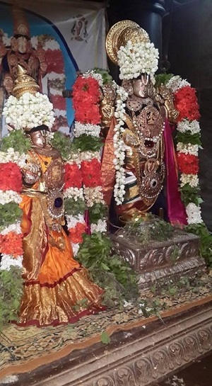 Thiruvinnagar Sri Oppilliappan Venkatachalapathi Temple Sri Periyazhwar Thirunakshatra Utsavam5