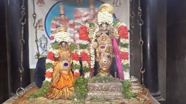 Thiruvinnagar Sri Oppilliappan Venkatachalapathi Temple Sri Periyazhwar Thirunakshatra Utsavam7