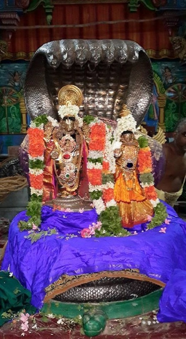 Thiruvinnagar Sri Oppilliappan Venkatachalapathi Temple Vaikasi Masa Sravana Purappadu11