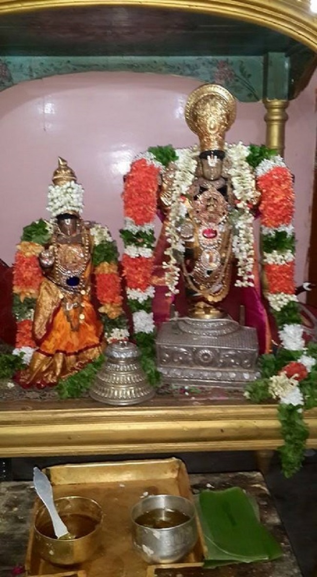 Thiruvinnagar Sri Oppilliappan Venkatachalapathi Temple Vaikasi Masa Sravana Purappadu13