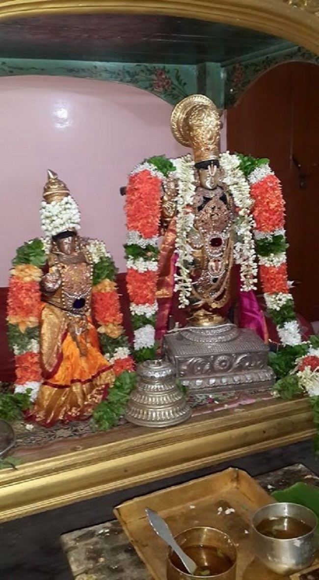Thiruvinnagar Sri Oppilliappan Venkatachalapathi Temple Vaikasi Masa Sravana Purappadu15