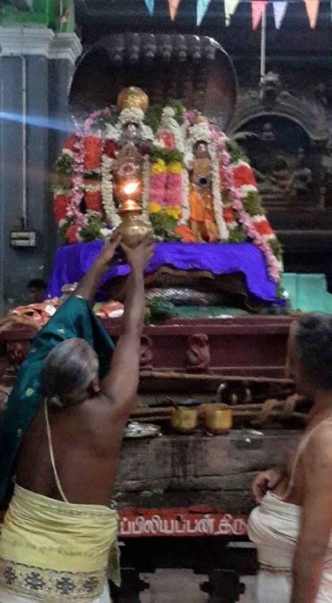 Thiruvinnagar Sri Oppilliappan Venkatachalapathi Temple Vaikasi Masa Sravana Purappadu5