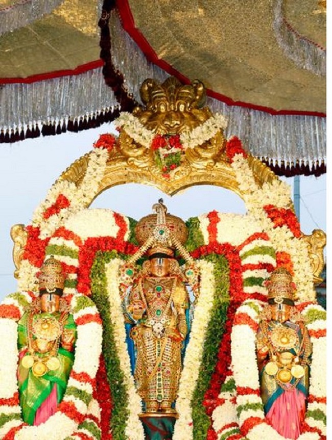 Tirumala Sri Malayappaswamy Temple Jyesthabhishekam10