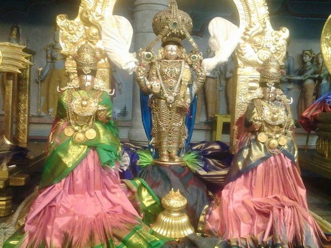 Tirumala Sri Malayappaswamy Temple Jyesthabhishekam2