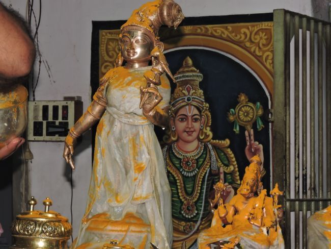 poundrikapuram namazhwar thirunatchathiram (20)