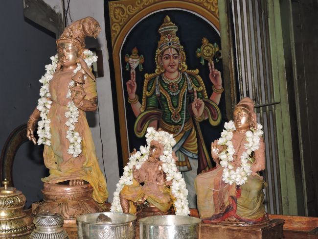 poundrikapuram namazhwar thirunatchathiram (39)
