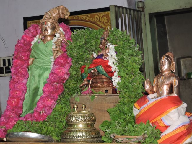 poundrikapuram namazhwar thirunatchathiram (49)