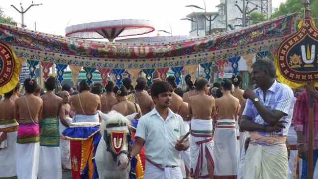 sri Varadaraja perumal Barhmotsavam Day 2 Kanchi (3)