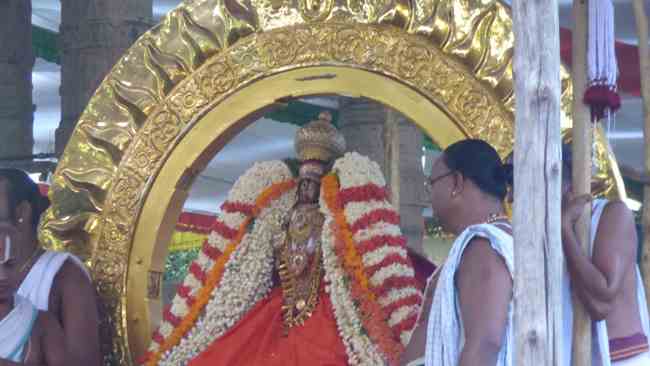 sri Varadaraja perumal Barhmotsavam Day 2 Kanchi (32)