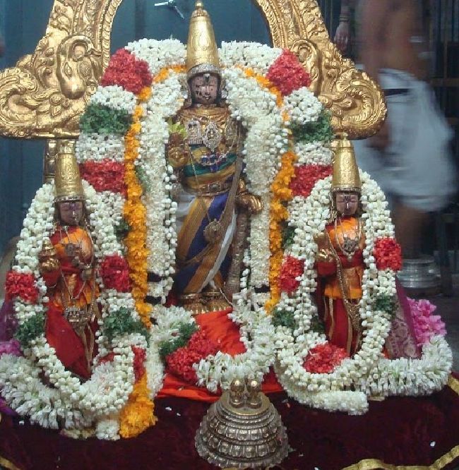 Kanchi Sri Devarajaswami Temple Aani Sravana Purappadu 2015 02