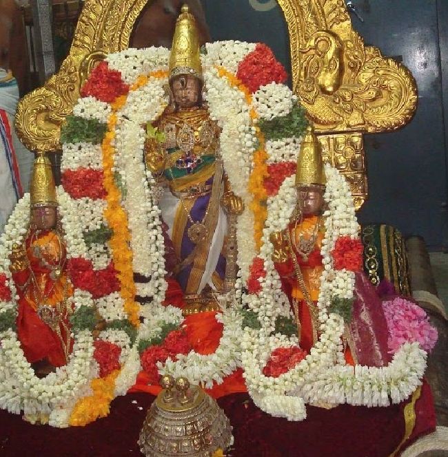 Kanchi Sri Devarajaswami Temple Aani Sravana Purappadu 2015 05