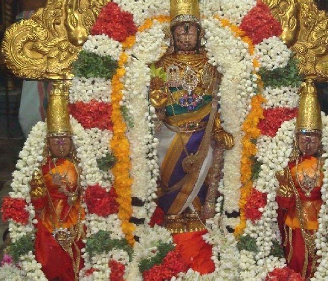 Kanchi Sri Devarajaswami Temple Aani Sravana Purappadu 2015 08