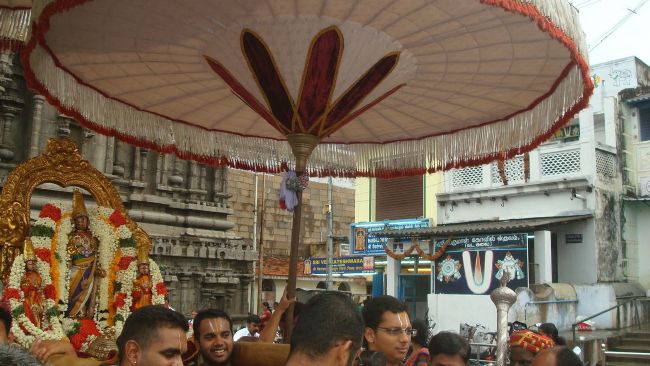 Kanchi Sri Devarajaswami Temple Aani Sravana Purappadu 2015 11