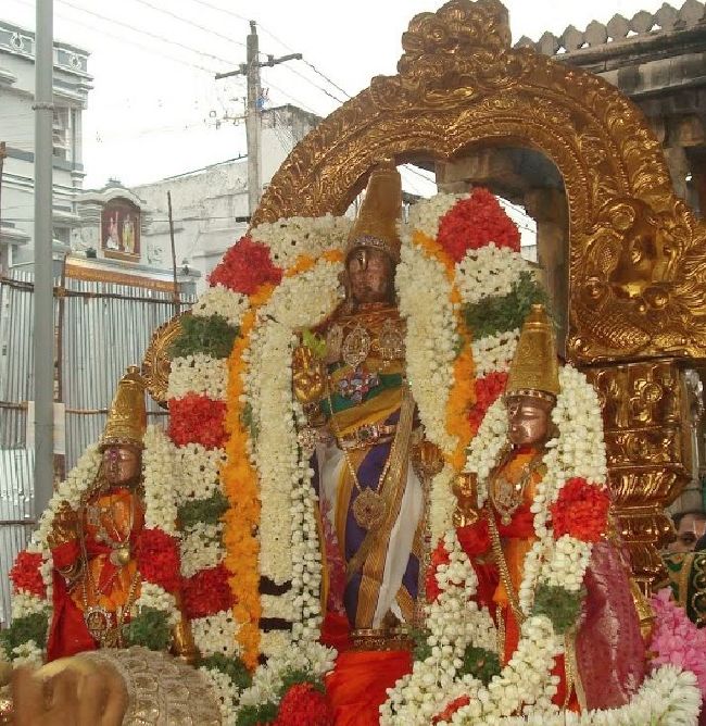 Kanchi Sri Devarajaswami Temple Aani Sravana Purappadu 2015 14