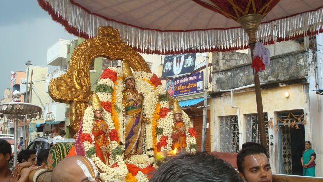 Kanchi Sri Devarajaswami Temple Aani Sravana Purappadu 2015 18