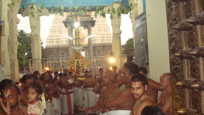 Kanchi Sri Devarajaswami Temple Aani Sravana Purappadu 2015 22