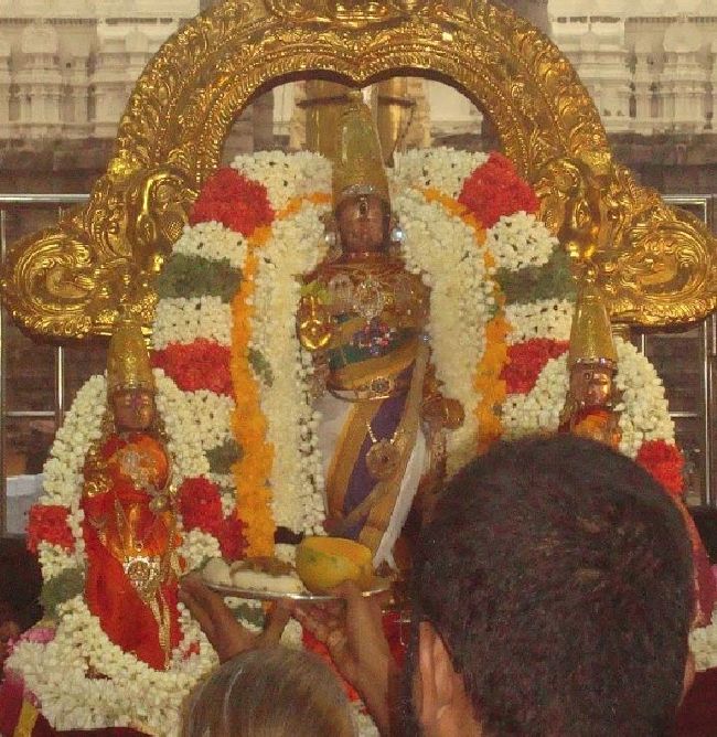 Kanchi Sri Devarajaswami Temple Aani Sravana Purappadu 2015 26