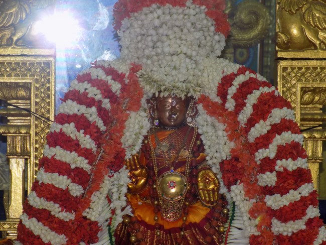 Mylapore SVDD Srinivasa Perumal Temple Manmadha Varusha Kodai utsavam10