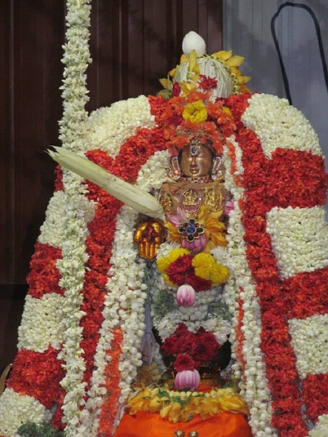 Mylapore SVDD Srinivasa Perumal Temple Manmadha Varusha Kodai utsavam11