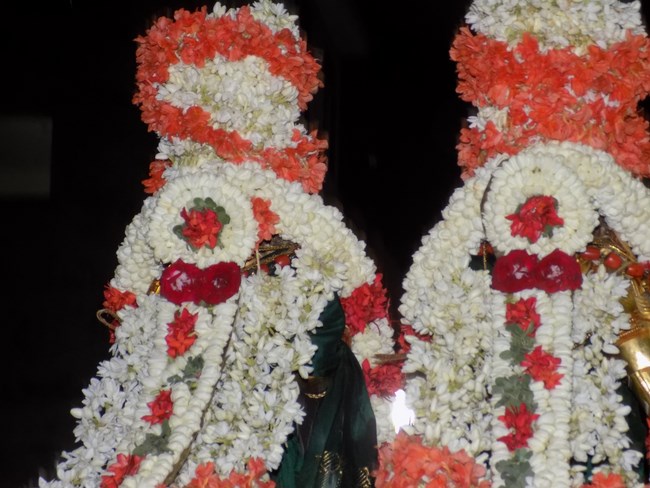 Mylapore SVDD Srinivasa Perumal Temple Manmadha Varusha Kodai utsavam11